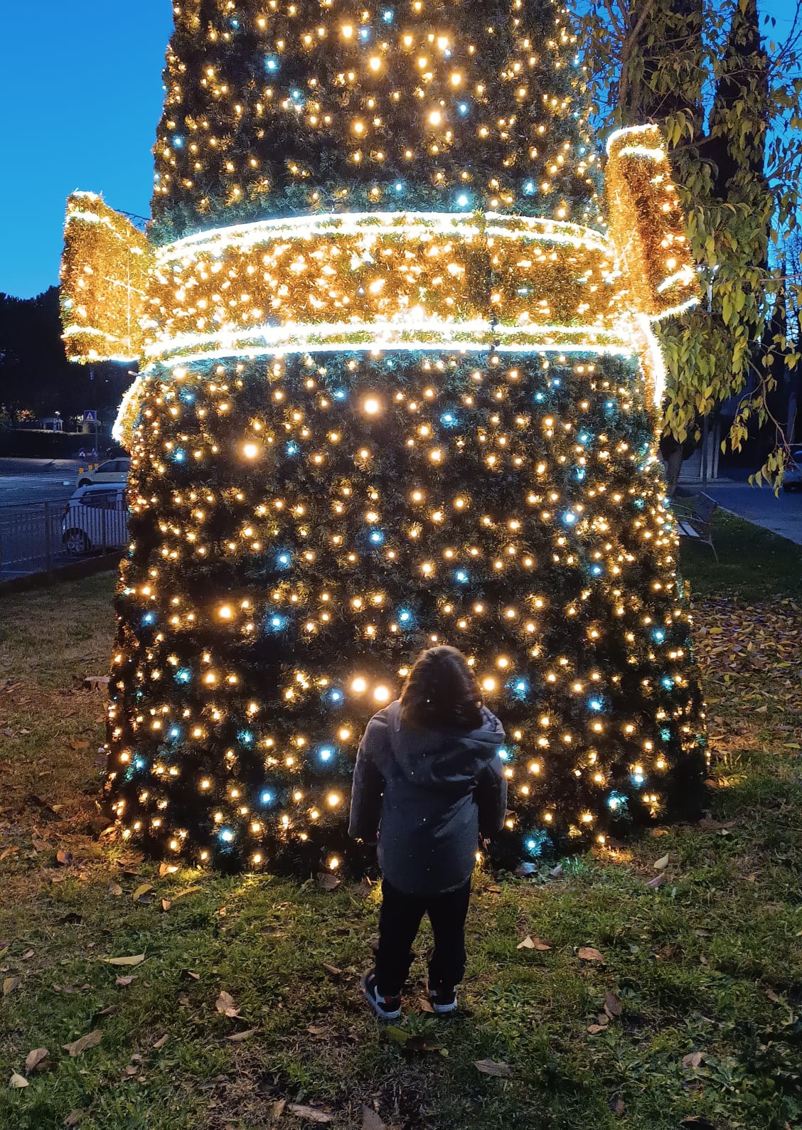 Ermes e l'albero di Natale del quatiere